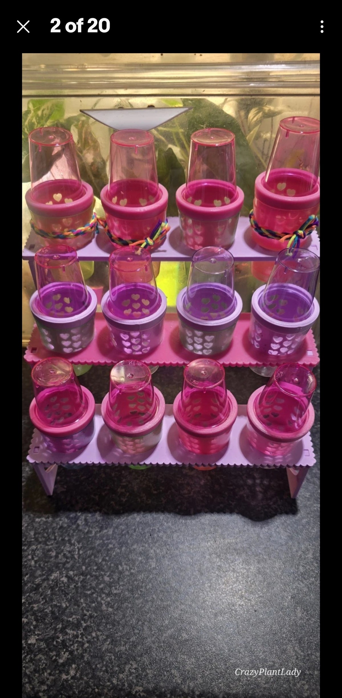 Casia Station — 3D Printed Plant Baby Shelving 🌈💕🪴