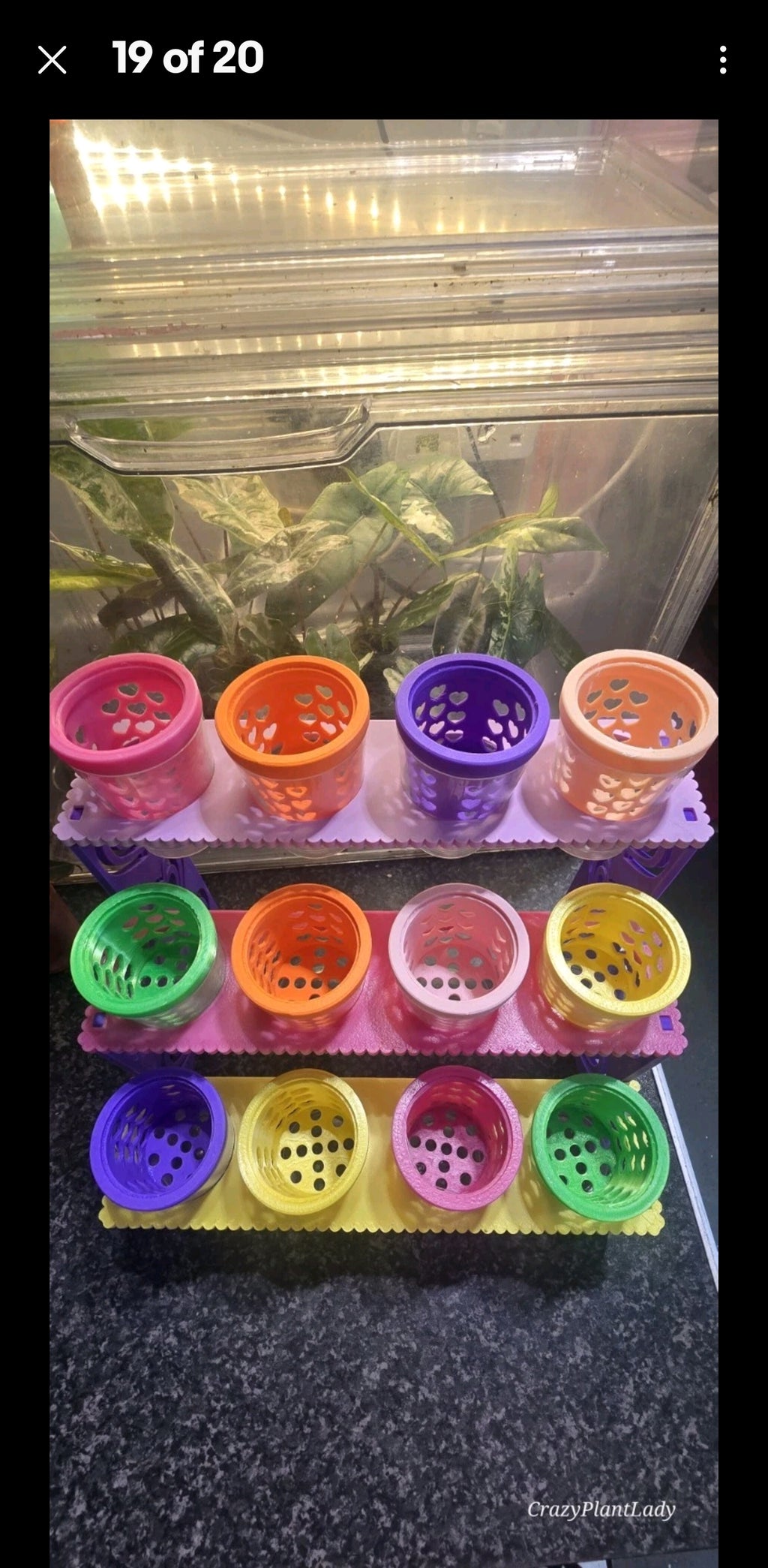 Casia Station — 3D Printed Plant Baby Shelving 🌈💕🪴