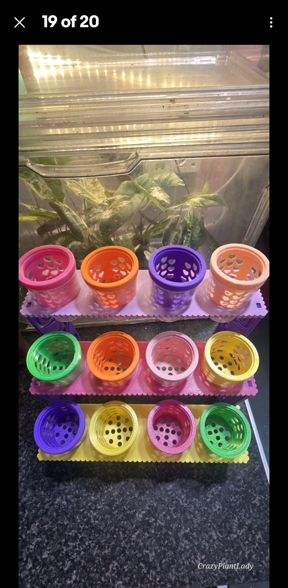 Casia Station — 3D Printed Plant Baby Shelving 🌈💕🪴