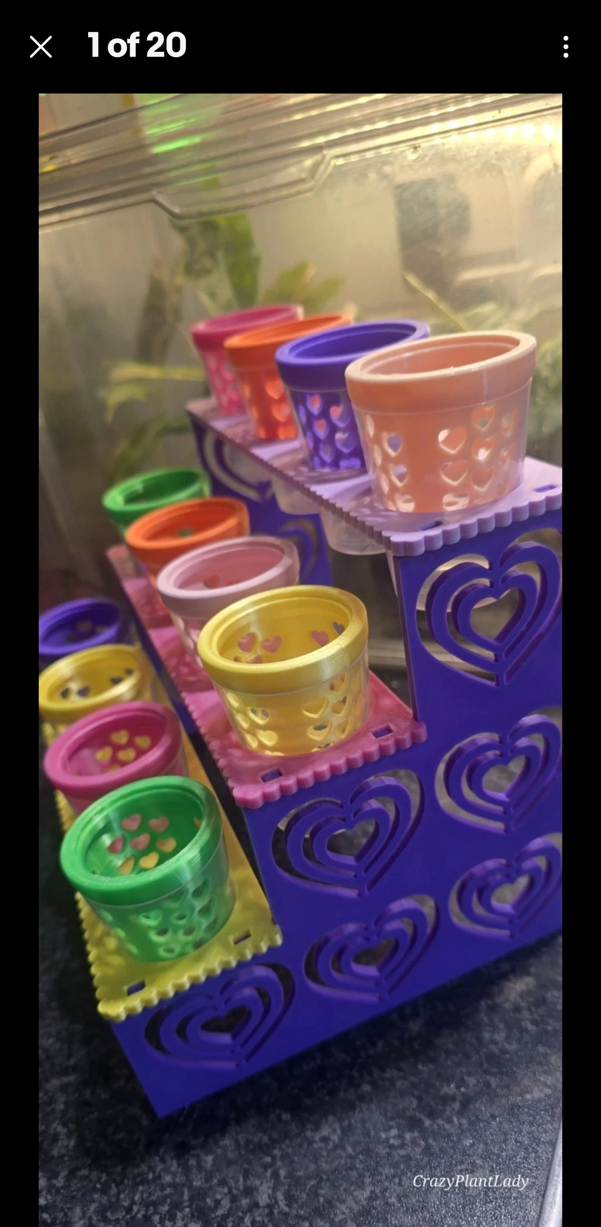Casia Station — 3D Printed Plant Baby Shelving 🌈💕🪴